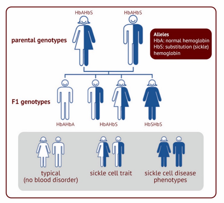 World Sickle Cell Day | Perigon Pharmacy